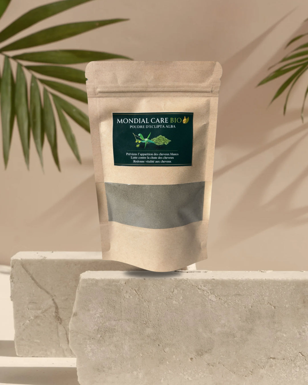 Shikakai Powder